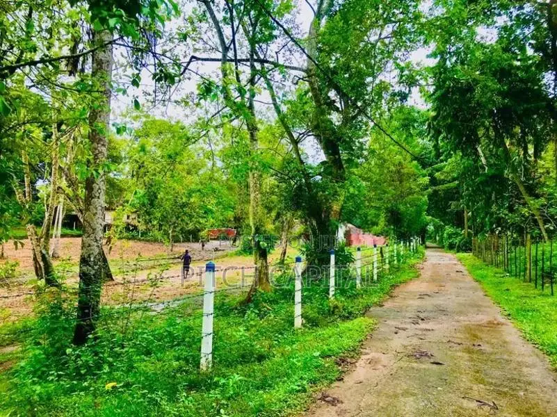 කොග්ගල වැවට මුහුණ ලා සුන්දර බිම් කොටස් රැසක්