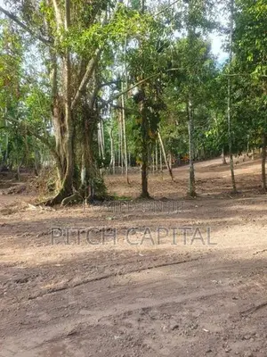 කොග්ගල වැවට මුහුණ ලා සුන්දර බිම් කොටස් රැසක්