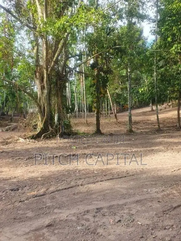 කොග්ගල වැවට මුහුණ ලා සුන්දර බිම් කොටස් රැසක්