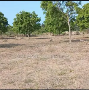POTTUVIL : 5 ACRES PRIME BEACHFRONT LAND FOR SALE