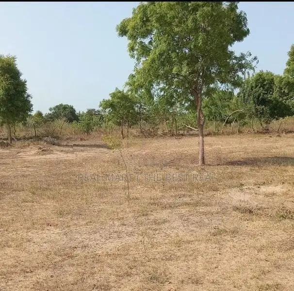 POTTUVIL : 5 ACRES PRIME BEACHFRONT LAND FOR SALE