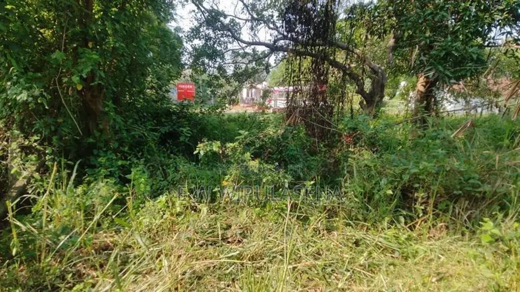 20 PERCH LAND for SALE in DAMBULLA