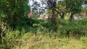 20 PERCH LAND for SALE in DAMBULLA