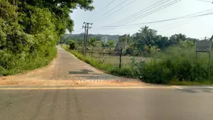 20 PERCH LAND for SALE in DAMBULLA