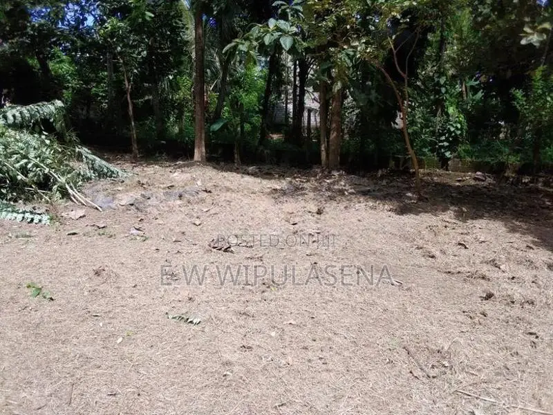 22 PERCH LAND for SALE in SEEDUWA