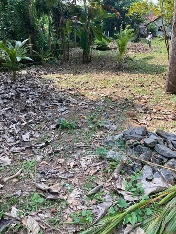 22 PERCH LAND for SALE in SEEDUWA