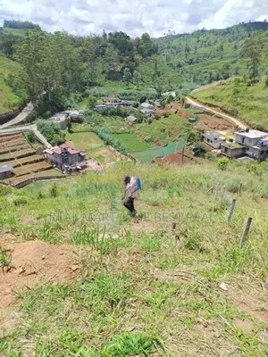 NUWARA ELIYA : 15 PERCHES LAND FOR SALE IN PADINAWELA