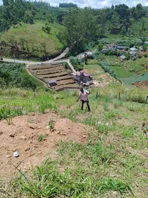 NUWARA ELIYA : 15 PERCHES LAND FOR SALE IN PADINAWELA