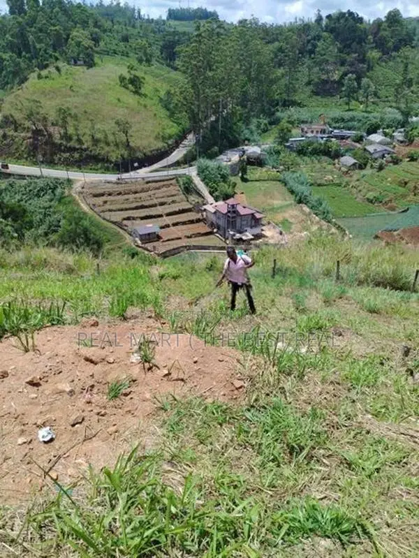 NUWARA ELIYA : 15 PERCHES LAND FOR SALE IN PADINAWELA
