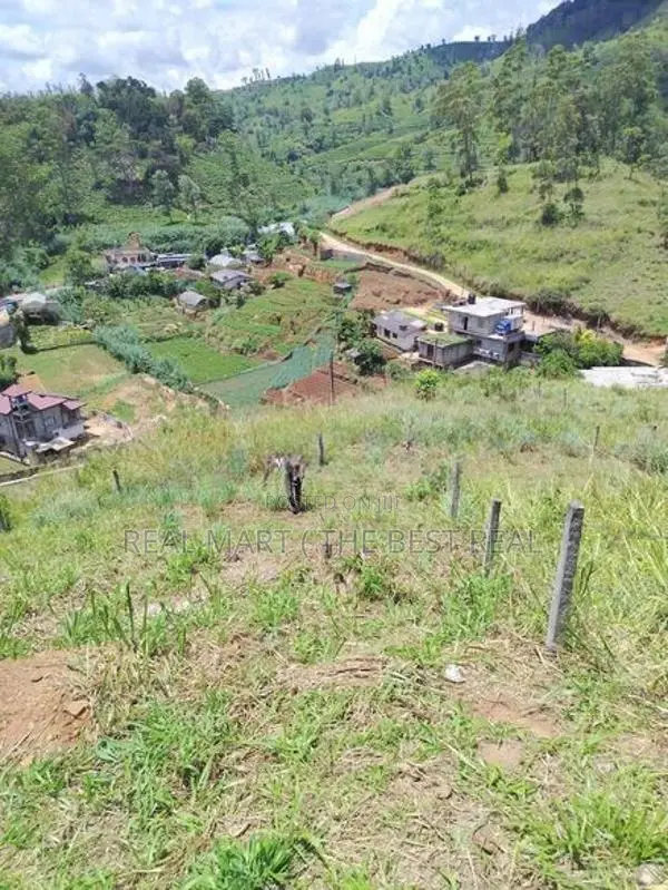 NUWARA ELIYA : 15 PERCHES LAND FOR SALE IN PADINAWELA