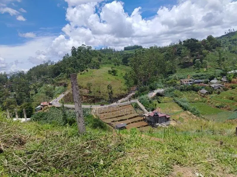 NUWARA ELIYA : 15 PERCHES LAND FOR SALE IN PADINAWELA