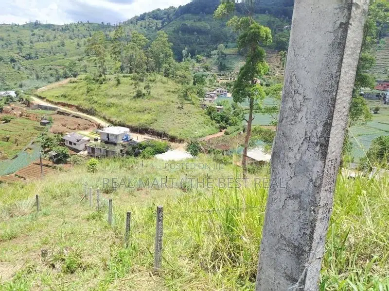 NUWARA ELIYA : 15 PERCHES LAND FOR SALE IN PADINAWELA