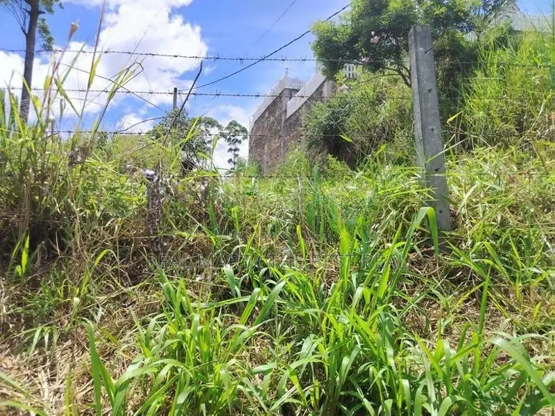 NUWARA ELIYA : 15 PERCHES LAND FOR SALE IN PADINAWELA