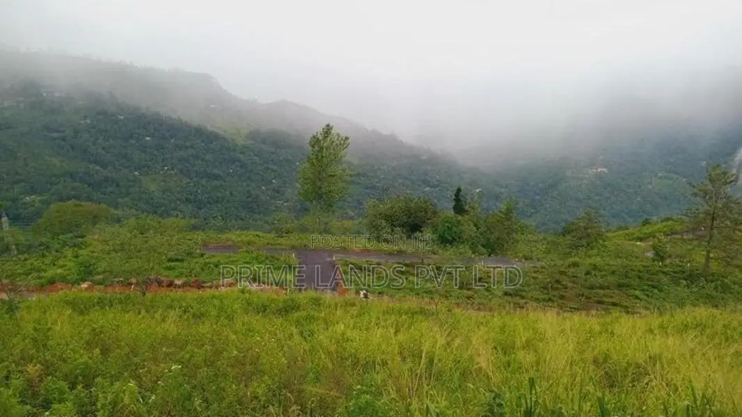 Land for Sale Pundaluoya