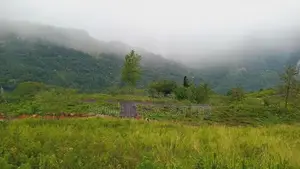 Land for Sale Pundaluoya