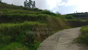Land for Sale Ambewela