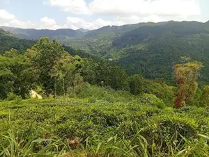 Land for Sale Nilamba