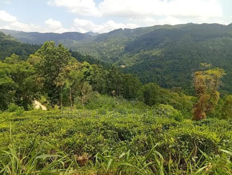 Land Sale in Nilamba