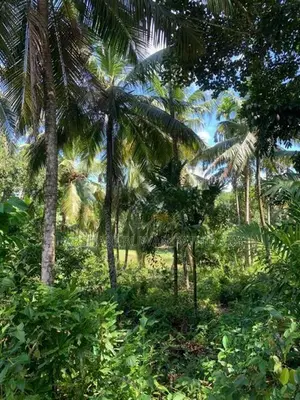 Land for Sale Matara