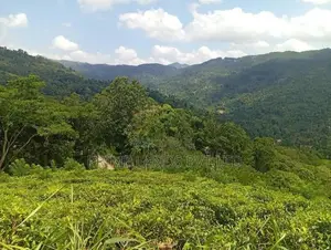 Land Sale in Nilamba