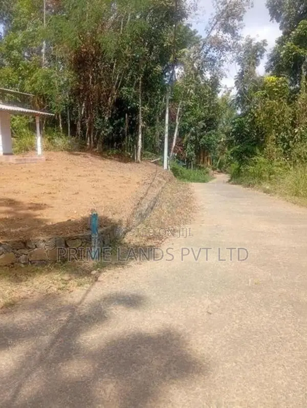 Land Sale in Nelumdeniya