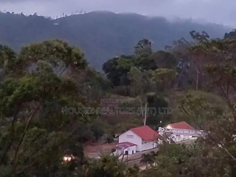 Prime Tourist Property Land for Sale – 14.43 Perches in Ella