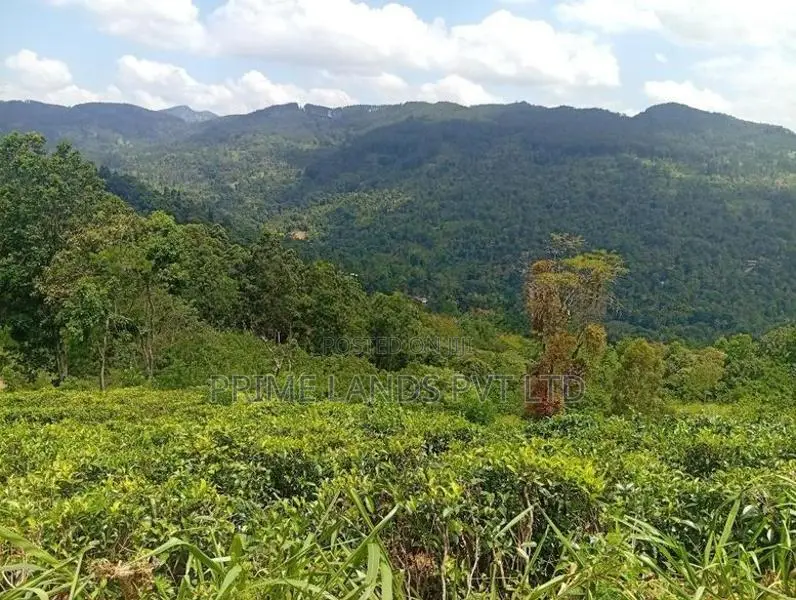 Land for Sale Nilamba