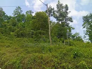 Land for Sale Nelumdeniya