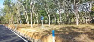 වටිනා ඉඩම් හොරන කනන්විලින්
