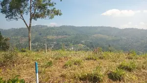 Beautiful Land for Sale Pussellawa