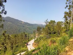 Land for Sale Nillamba
