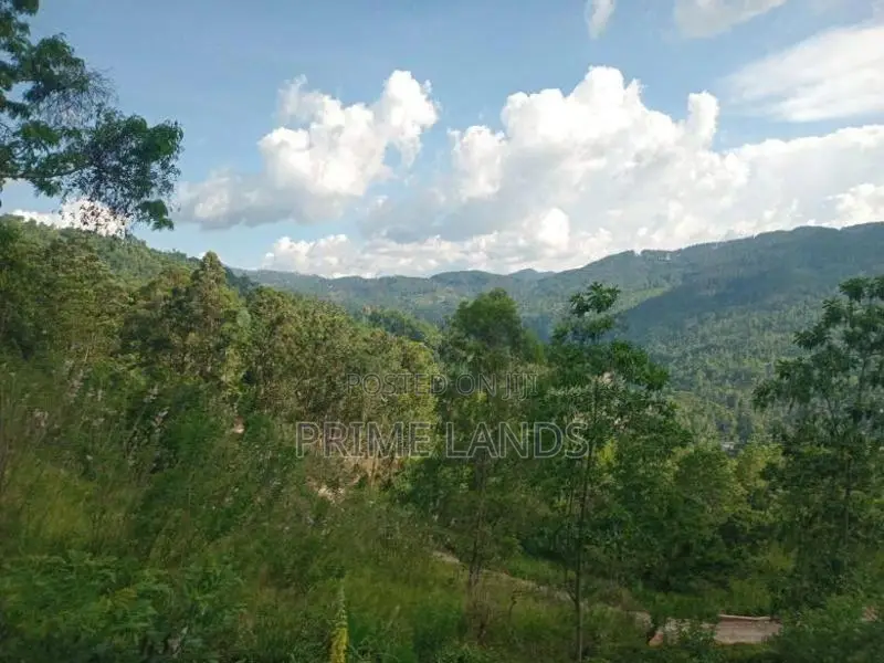 Land for Sale Nillamba