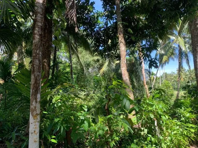 Land for Sale Matara