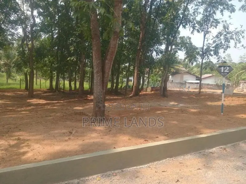 මහෝගනී ගස් සමගින් වටිනා ඉඩමක් කහතුඩුවෙන්