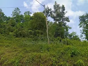 Land for Sale Nelumdeniya