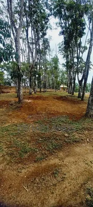 හොරන බැල්ලපිටිය හන්දියේන් ඉඩම්