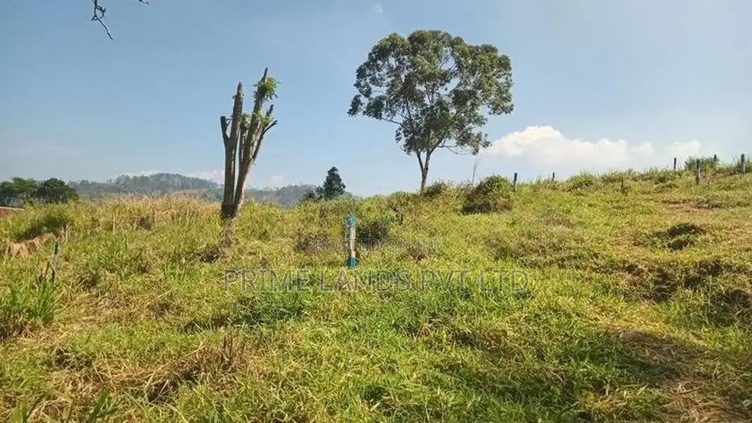 Beautiful Land for Sale Pussellawa