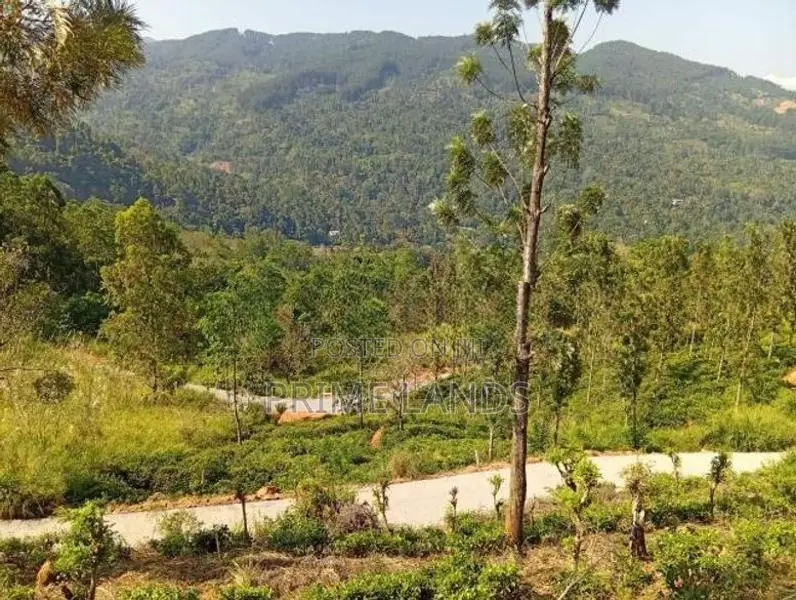 Land for Sale Nillamba