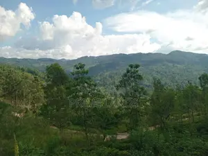 Land for Sale Nillamba