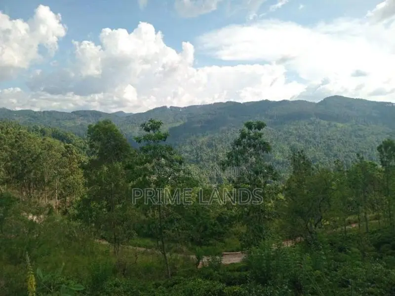 Land for Sale Nillamba