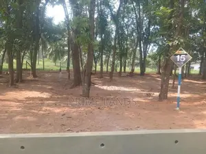 මහෝගනී ගස් සමගින් වටිනා ඉඩමක් කහතුඩුවෙන්