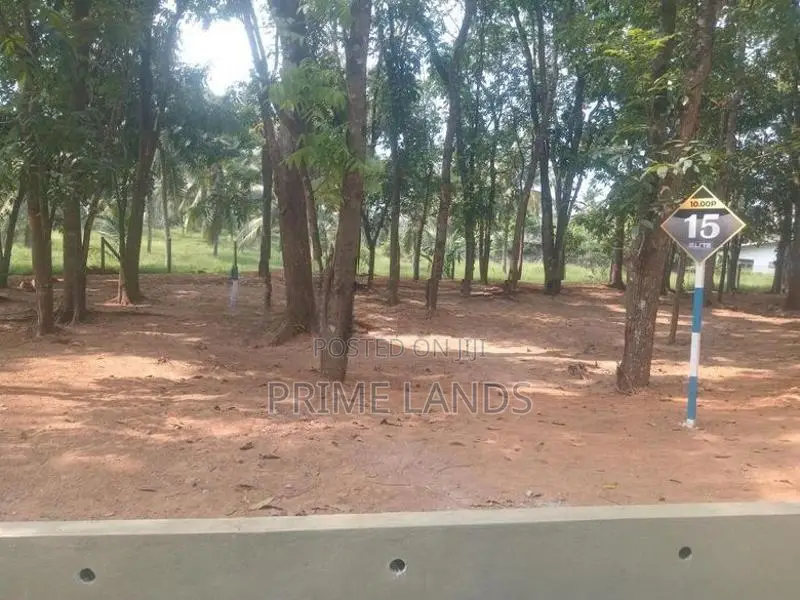 මහෝගනී ගස් සමගින් වටිනා ඉඩමක් කහතුඩුවෙන්