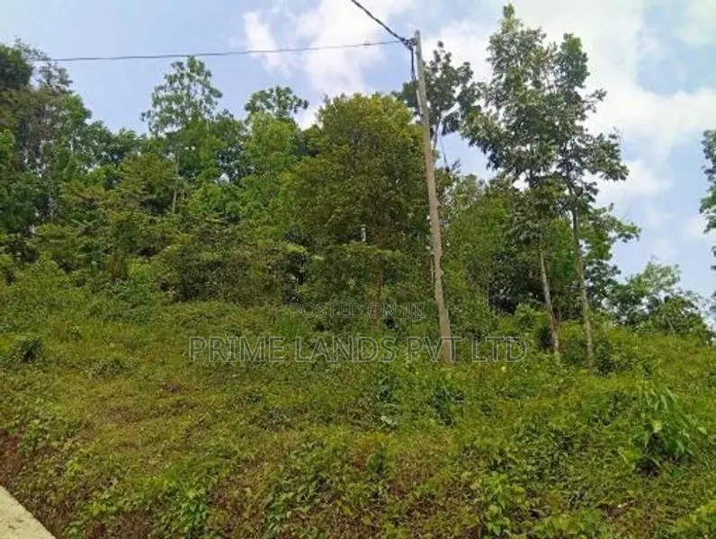 Land for Sale Nelumdeniya