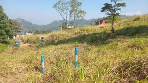 Beautiful Land for Sale Pussellawa