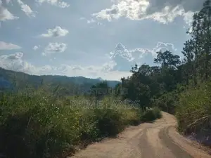 Land for Sale Nillamba