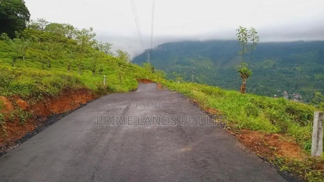 Land for Sale Pundaluoya