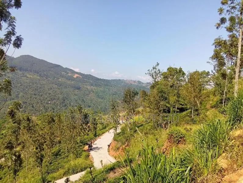 Land for Sale Nilamba