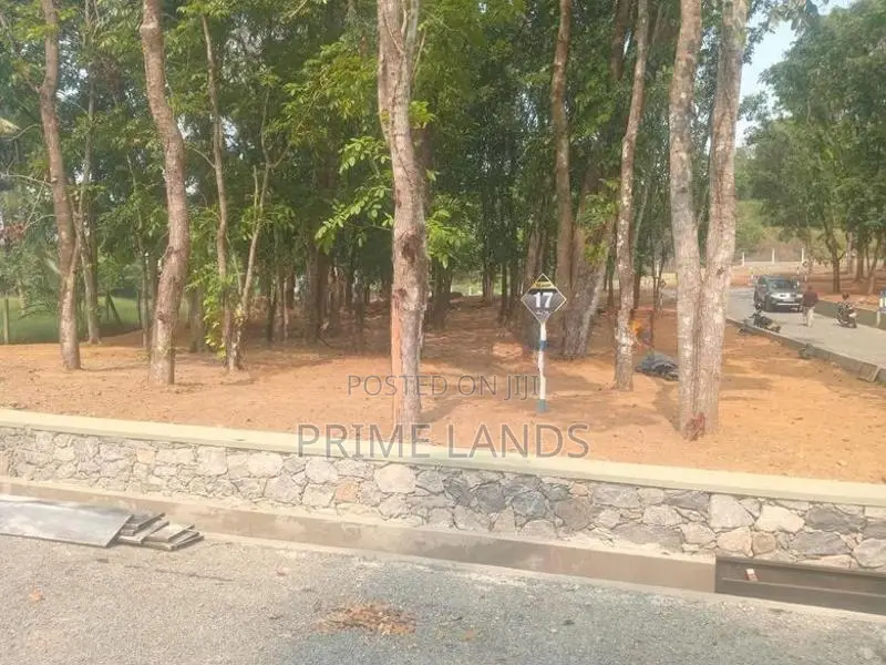 මහෝගනී ගස් සමගින් වටිනා ඉඩමක් කහතුඩුවෙන්