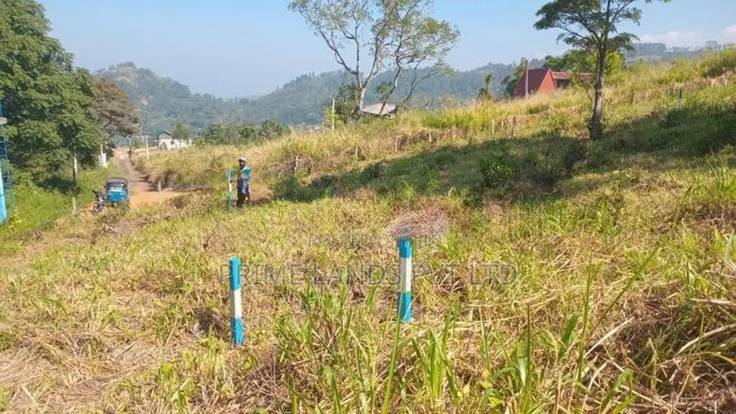 Beautiful Land for Sale Pussellawa