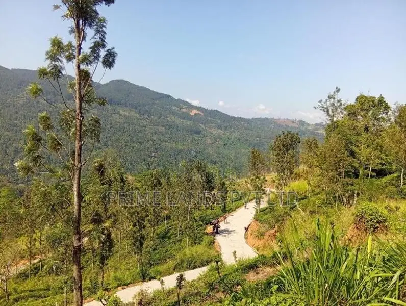 Land Sale in Nilamba